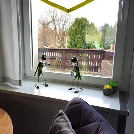 Martina * ハッセルフェルデ