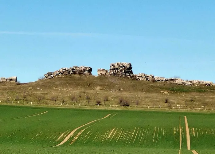 アパート Martina ハッセルフェルデ